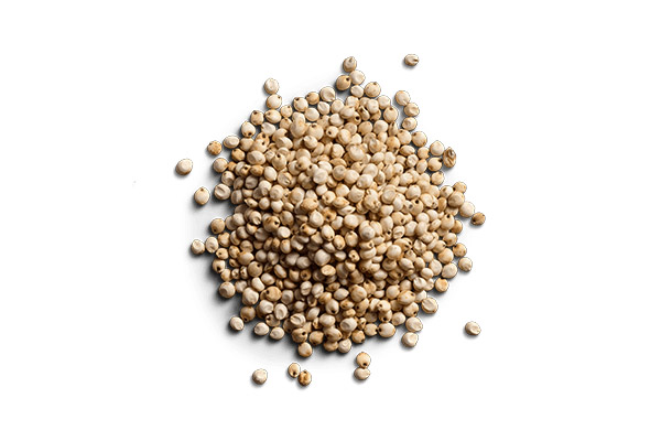 Whole Sorghum