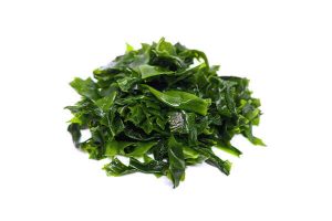 Kelp