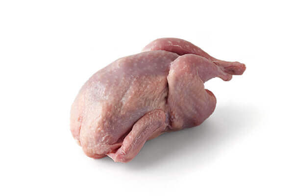 Quail