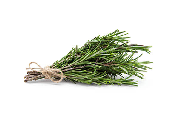 Dried Rosemary