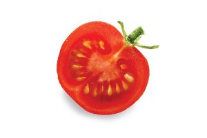 Fresh Tomatoes