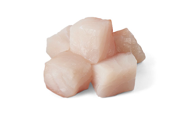 Whitefish
