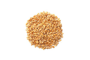 Whole Wheat