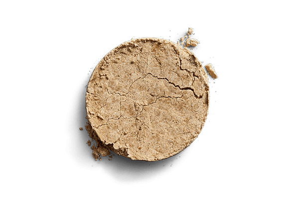 Dried Yucca Schidigera Extract
